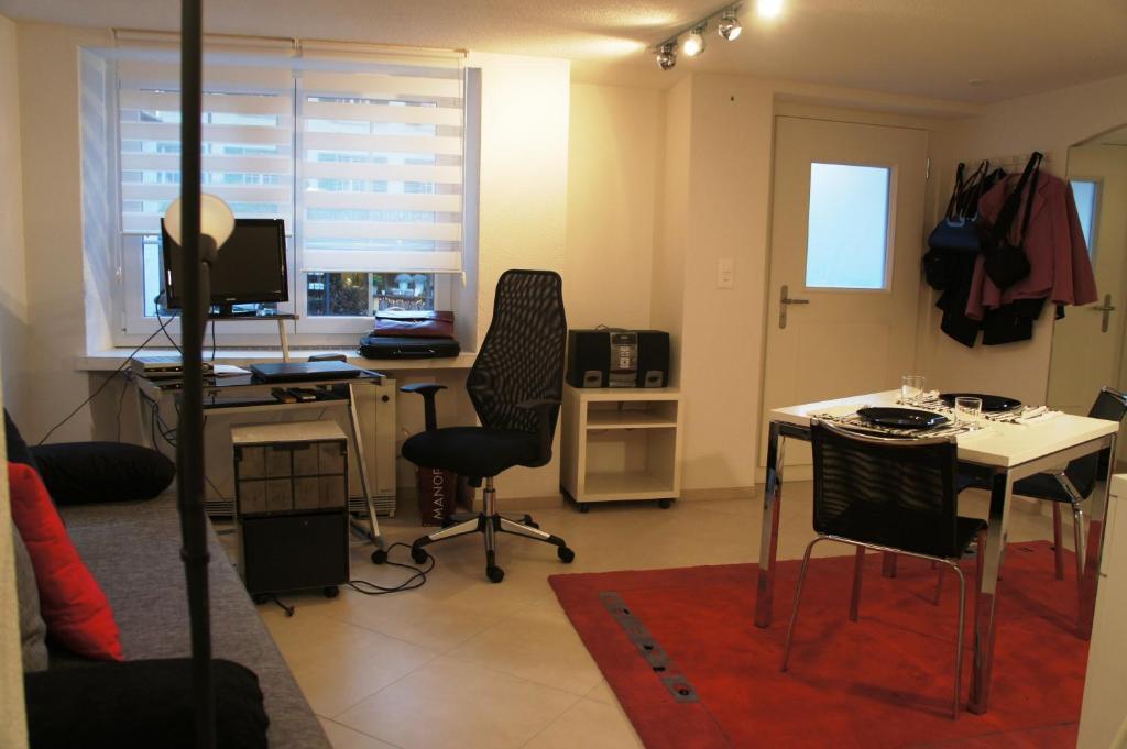 Studio-Appartment Horgen Oda fotoğraf